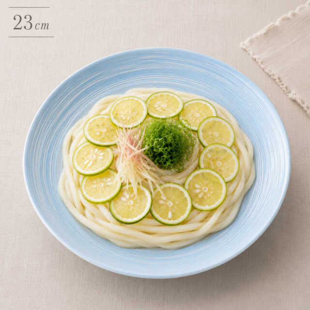 23cm パスタ皿 カレー皿 和食器 深皿 陶器 四季彩陶器 美濃焼 業務用 波の舞 53184003