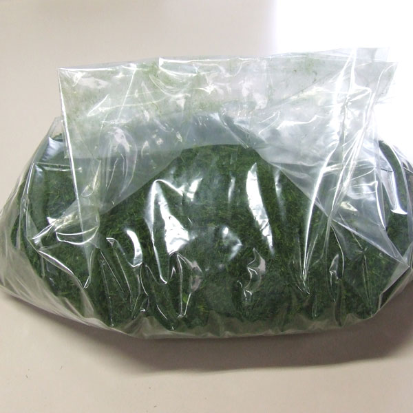 四万十川産すじ青のり粉（天然天日干し)　1kg