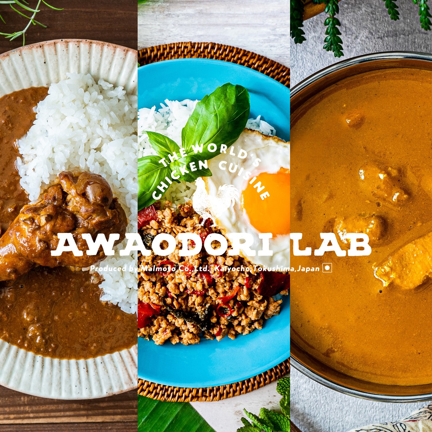 【徳島県｜地鶏】AWAODORILAB 阿波尾鶏2種のカレーとガパオのギフト（6袋入）［送料込］