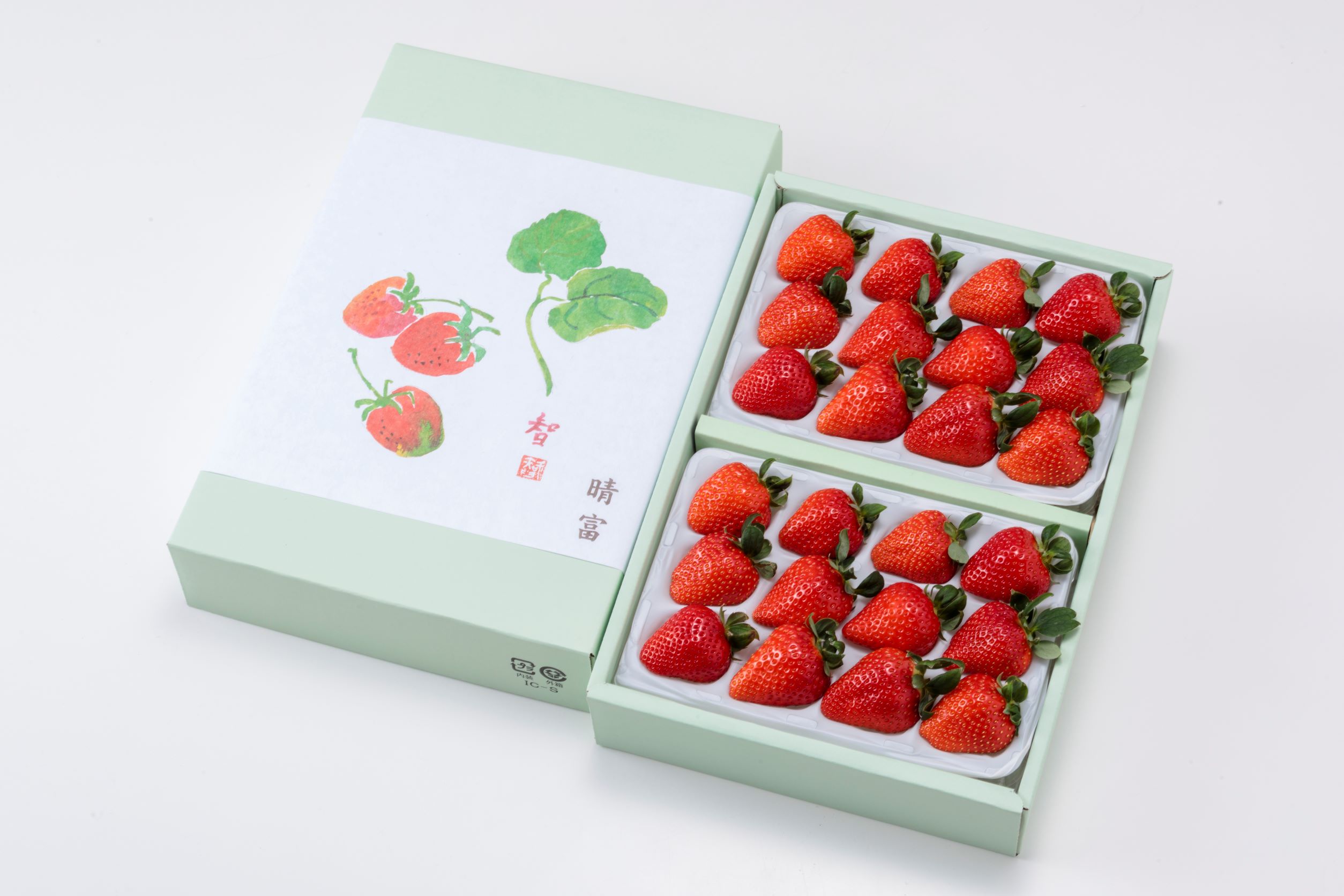 【岡山県】いちご　晴れ娘　500g　岡山県産[送料込]