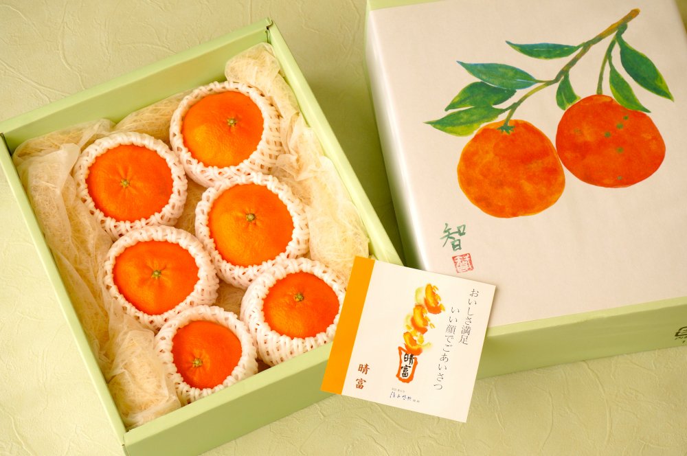 愛媛県産　甘平　6玉【晴富】［送料込］