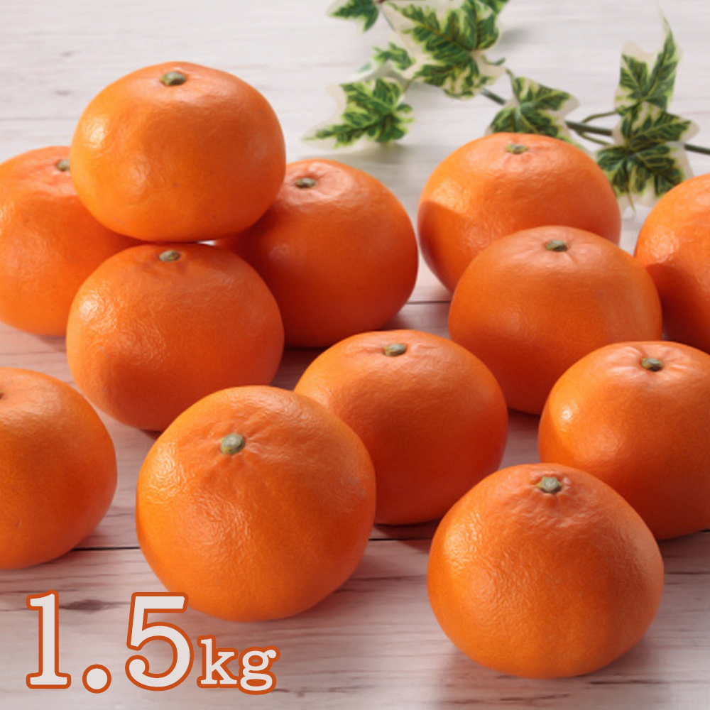 香川県産　金時紅みかん　1.5kg【晴富】[送料込]