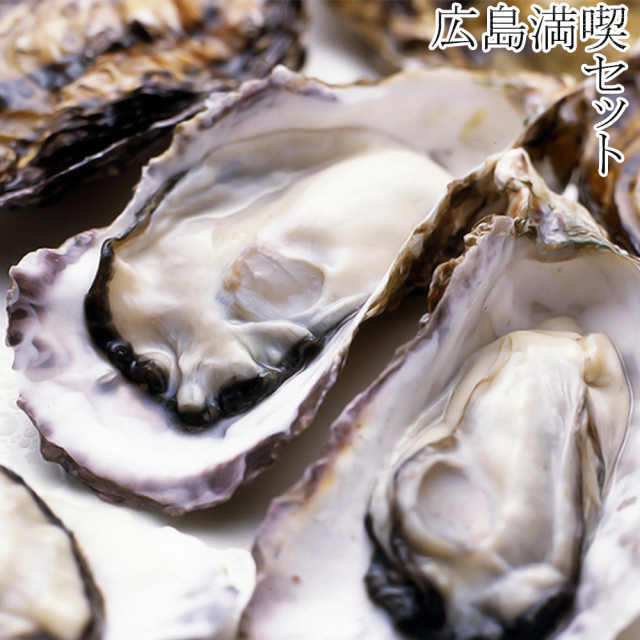 【広島県 | 堀口海産】 似島牡蠣 広島満喫セット【産地直送・同梱不可】
