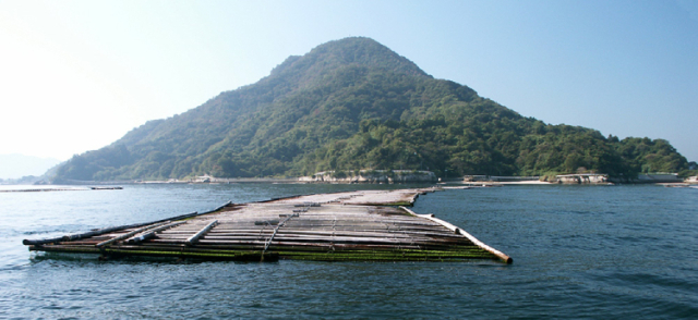 【広島県 | 堀口海産】 似島牡蠣 広島満喫セット【産地直送・同梱不可】