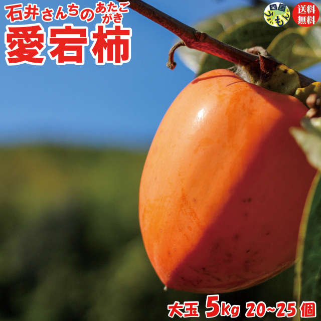 【予約受付開始！】香川県産 石井さんちの愛宕柿（渋柿）大玉 5Kg 1箱 20～25個前後 初心者でも安心簡単な干柿・合わせ柿 作り方付き 【＊農産物の為、期間限定です。 】