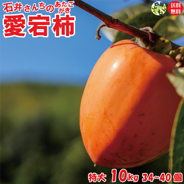 【予約受付開始！】香川県産 石井さんちの愛宕柿（渋柿）特大 10Kg 1箱 34～40個前後 初心者でも安心簡単な干柿・合わせ柿 作り方付き 【＊農産物の為、期間限定です。 】