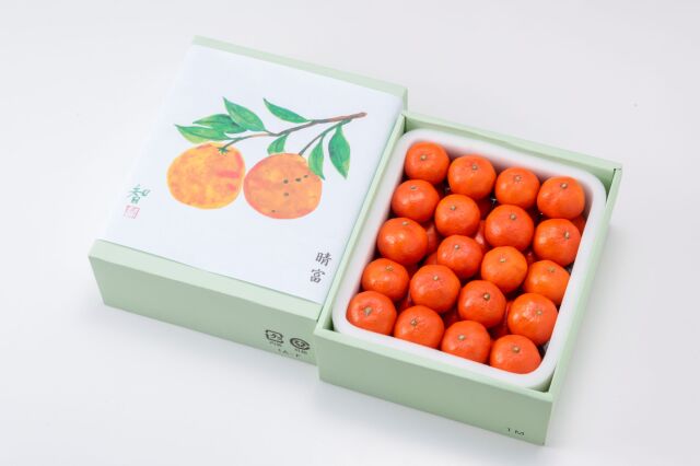 香川県産　金時紅みかん　2.7kg【晴富】[送料込]