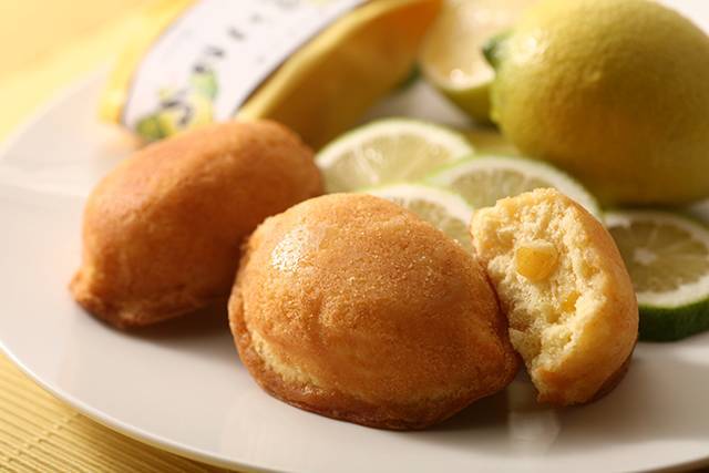 瀬戸田レモンケーキ「島ごころ」デザインパッケージ