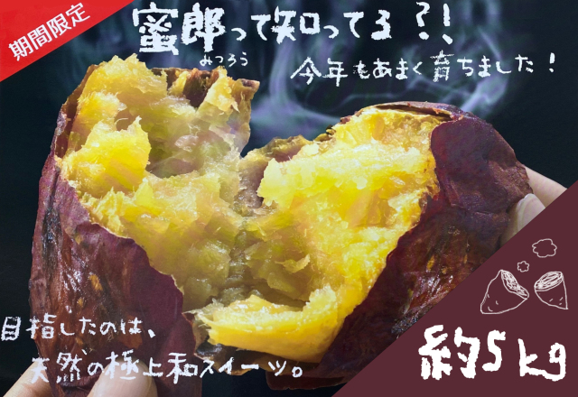 【徳島県】鳴門産さつま芋蜜郎 約5kg (Mサイズ)