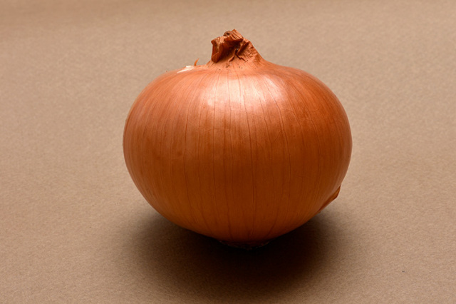 島の玉ねぎ定期便】7kg：1ヵ月に1回お届け［送料込］ | 島と暮らす