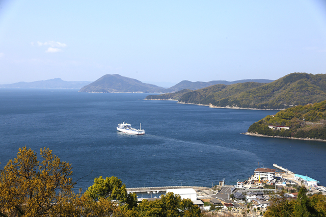 【香川県│小豆島酒造】桝いろいろセット【同梱不可・産地直送】