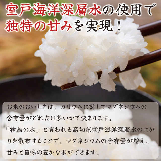 日本一を2度受賞！にこまる 2kg×1袋セット | 島と暮らす 瀬戸内いい