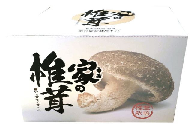 【徳島県産】 椎茸栽培キット 家の椎茸(うちのしいたけ)【産地直送・同梱不可】