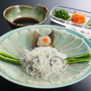 【山口県】ふぐ刺しセット（2～3人前）青磁皿27cm付［送料込］