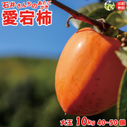【予約受付開始！】香川県産 石井さんちの愛宕柿（渋柿）大玉 10Kg 1箱 40～50個前後 初心者でも安心簡単な干柿・合わせ柿 作り方付き 【＊農産物の為、期間限定です。 】