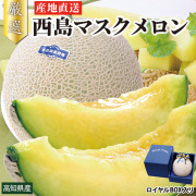 【特選品】 西島マスクメロン 1玉 1.5kg~1.6kg前後 ロイヤルBOX入り 贈答用 化粧箱入り 高級メロンギフト  高知県産 西島園芸団地