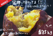 【徳島県】鳴門産さつま芋蜜郎　約5kg　（Mサイズ）