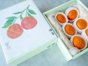 愛媛県産　せとか　6玉【晴富】［送料込］