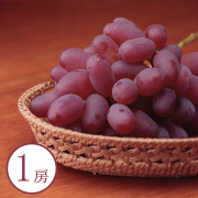 【岡山県】紫苑　1房　岡山県産［送料込］