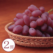 【岡山県】紫苑　2房　岡山県産［送料込］