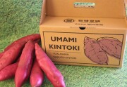 【徳島県】鳴門産旨味金時（約3kg）混合サイズ