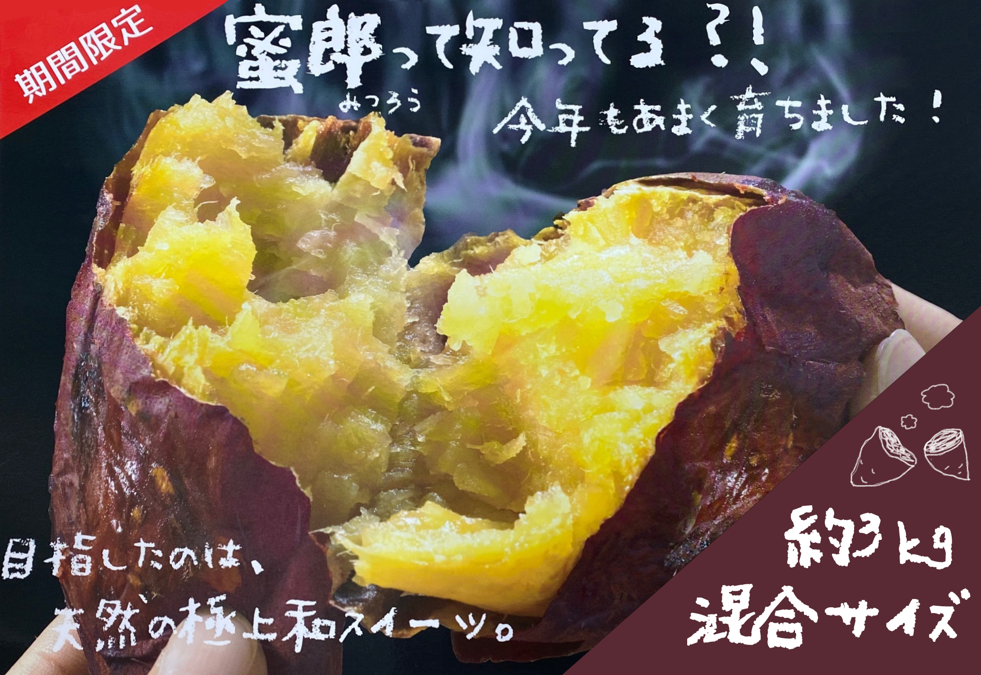 【徳島県】鳴門産さつま芋蜜郎（約3kg）混合サイズ