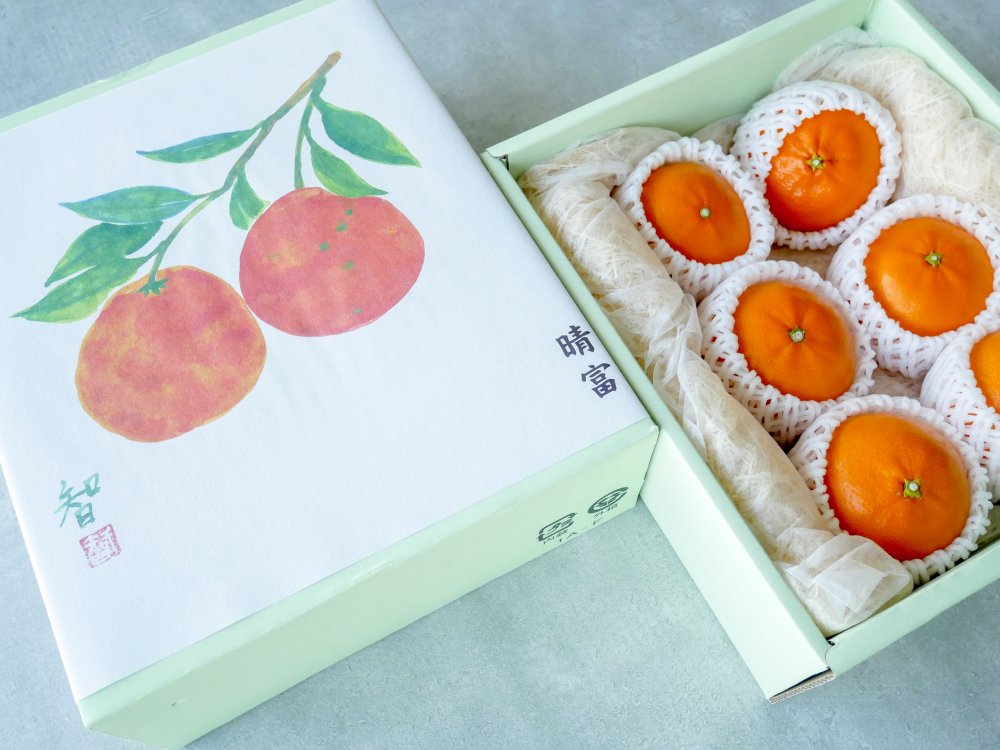 愛媛県産　せとか　6玉【晴富】［送料込］