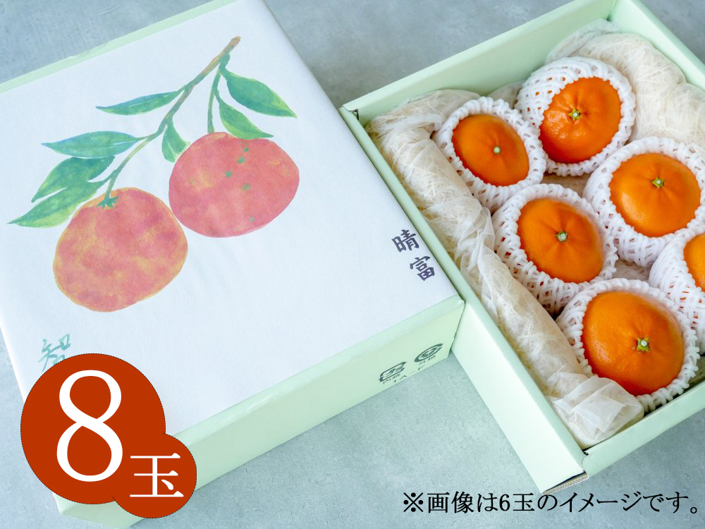 愛媛県産　せとか　8玉【晴富】［送料込］
