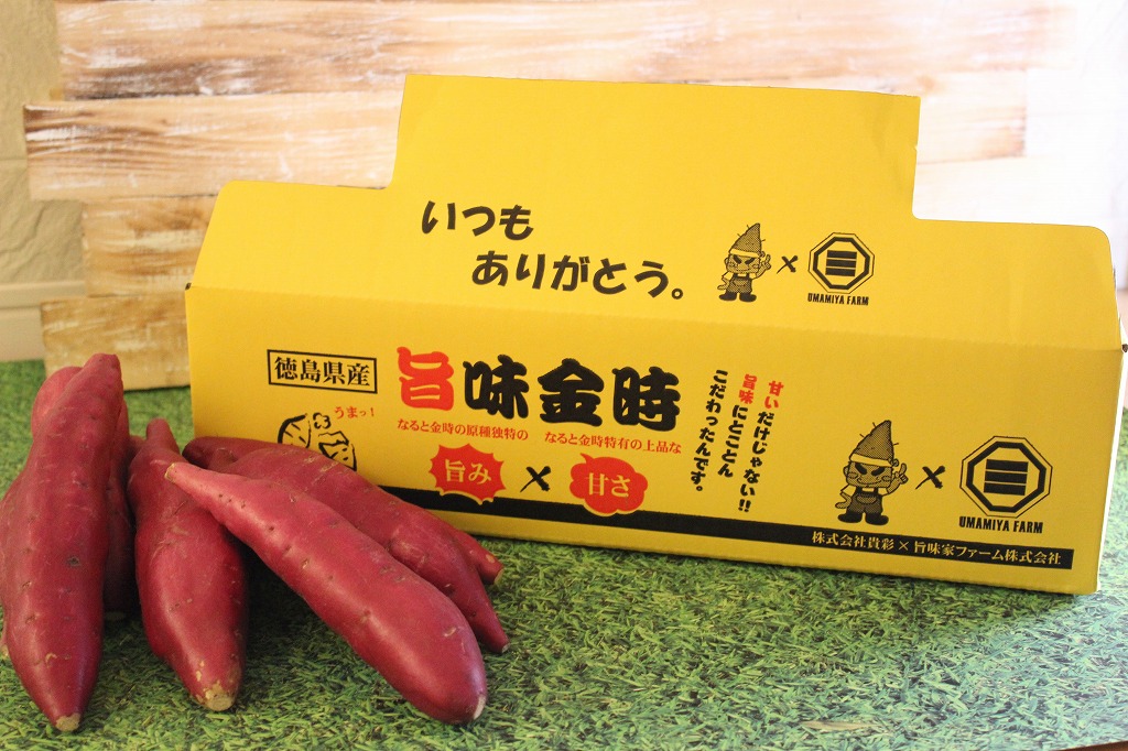 【徳島県】鳴門産旨味金時（約5kg）