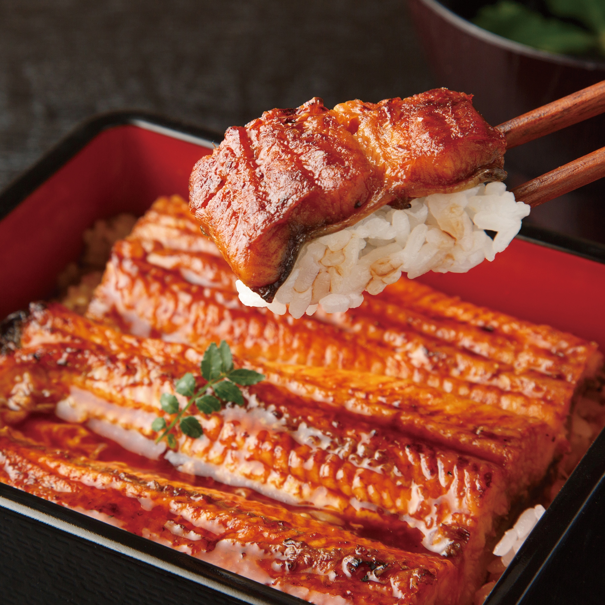 よかわ錦うなぎ