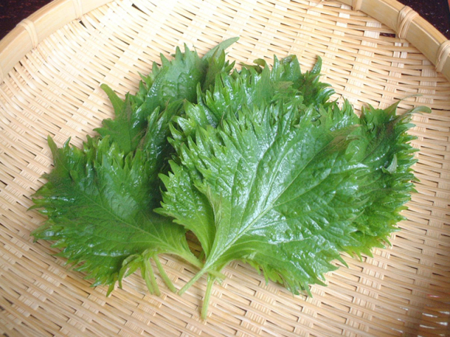 青じそ天　素材