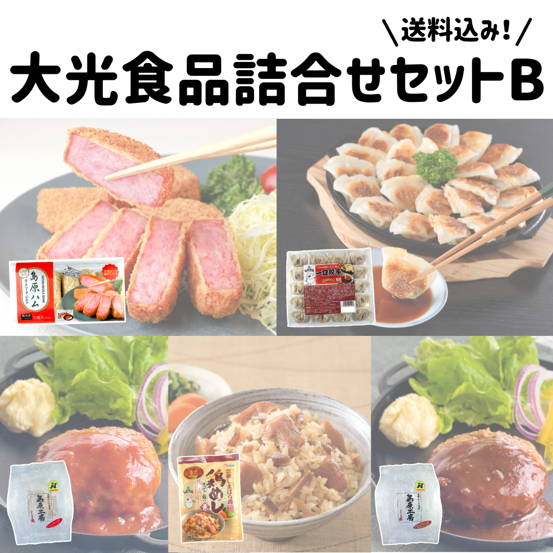 【冷凍】大光食品詰め合せセットB＜送料込み＞