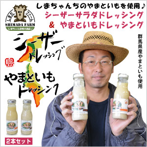 【島田ファーム やまといもドレッシングとシーザーサラダドレッシング2本セット】