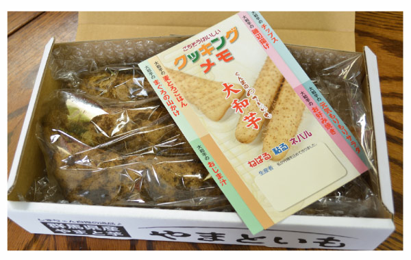 送料無料【島田ファーム産 やまといも 1kg詰め BOX】クッキング