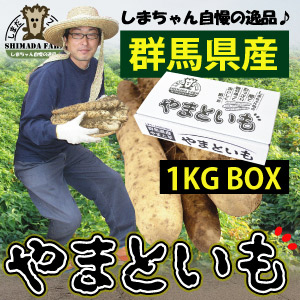 Amazon.co.jp: 冷凍 やまいも とろろ （ 山芋 ペースト ) 1kg