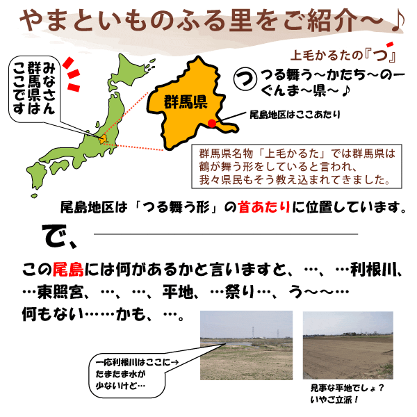やまいもページ Amazon.co.jp: [冷凍] テーブルマーク 山芋とろ～り焼き