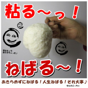 送料無料【島田ファーム産 やまといも 1kg詰め BOX】クッキングレシピ付き♪ 群馬県産やまと芋 ヤマトイモ ヤマト芋 尾島町 通販
