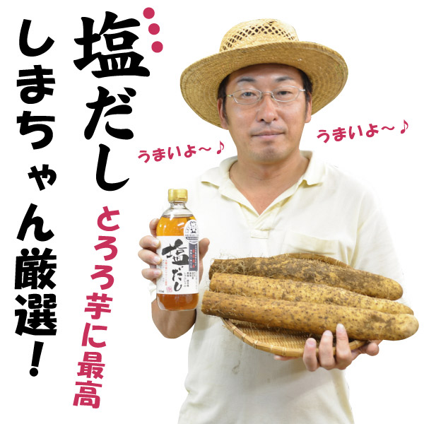 【島田ファーム産 やまといも 約1.5kgと茂蔵の塩だし1本 ギフトBOX】クッキングレシピ付き♪