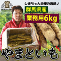 送料無料【訳あり】【島田ファーム産 やまといも6Kg（業務用）】クッキングレシピ付き♪