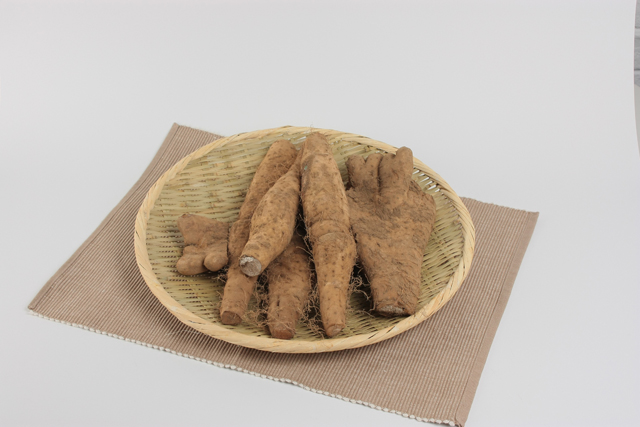 送料無料訳あり大和芋２ｋｇ　