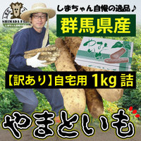 送料無料【訳あり】【島田ファーム産 やまといも1Kg（自宅用）】クッキングレシピ付き♪