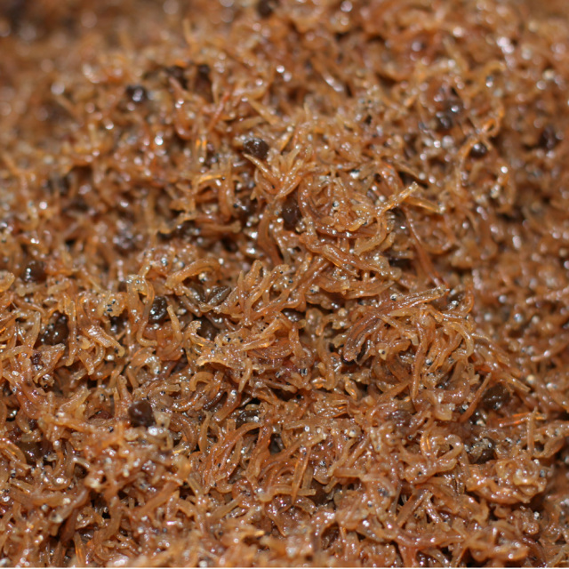 接写ちりめん山椒