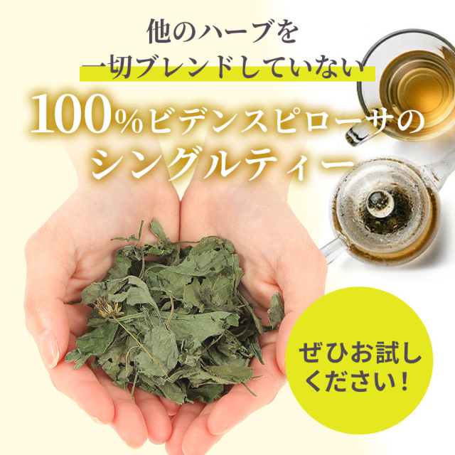 ビデンスピローサ 100% お茶 与論島産 農薬検査済 1.5g×60包