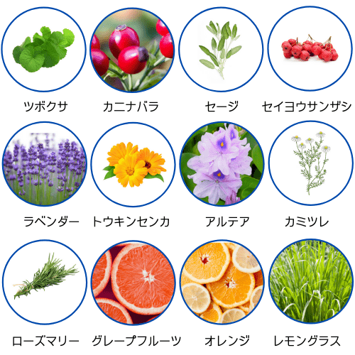 ツボクサ基礎水の植物成分