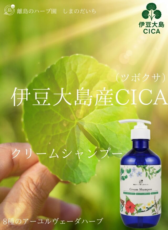 クリームシャンプー14