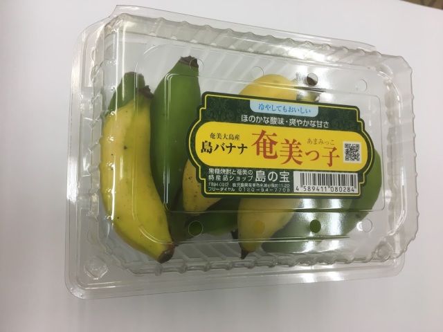 島バナナ奄美っ子５００ｇ（５～８本位）