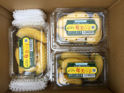 島バナナ奄美っ子５００ｇパック3個（１．５ｋｇ）セット（送料込）