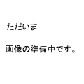 ただいま画像の準備中です。