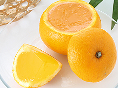 岐阜中津川：和菓子販売 栗菓子処 信玄堂】夏の太陽をいっぱいに受け