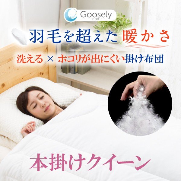 掛け布団 クィーン 洗える 本掛け布団 ウォッシャブル グースリー 防ダニ
